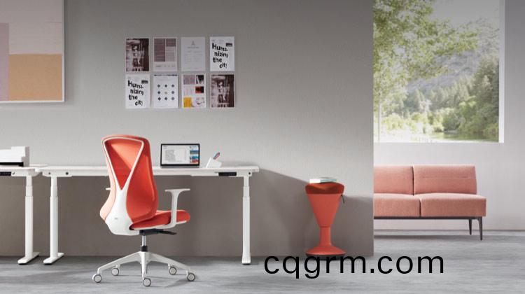 聖奧辦公傢具 蝴(hu)蜨辦公椅